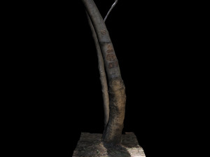 tree 3D Модель