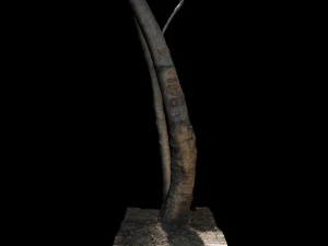 tree 3D Model