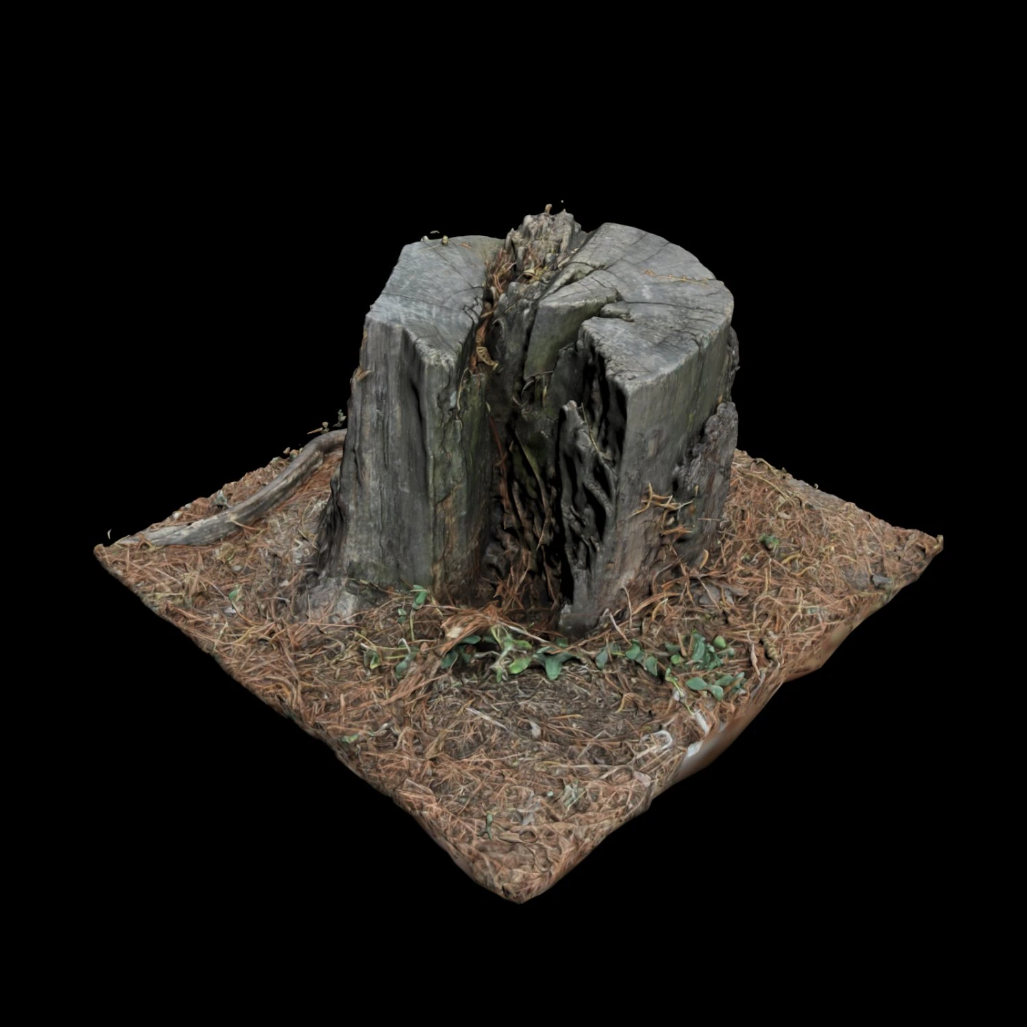 trunk 3D Model .c4d .max .obj .3ds .fbx .stl .blend 