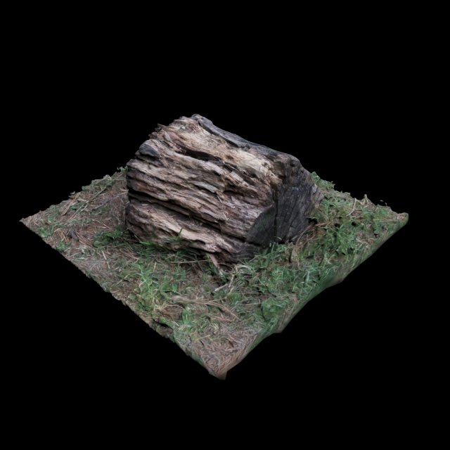trunk 3D Model .c4d .max .obj .3ds .fbx .stl .blend 