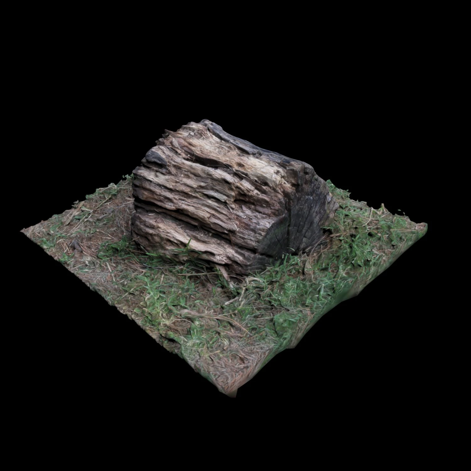 trunk 3D Model .c4d .max .obj .3ds .fbx .stl .blend