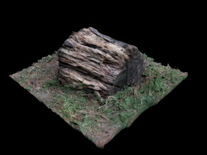 trunk 3D Model