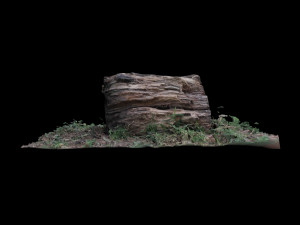 trunk 3D Model