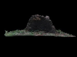 trunk 3D Model
