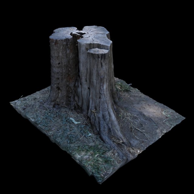trunk Modelo 3D .c4d .max .obj .3ds .fbx .stl .blend 