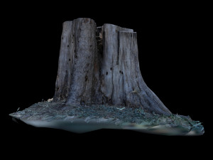 trunk Modelo 3D