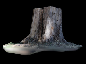 trunk Modelo 3D