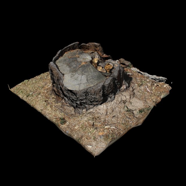 trunk 3D Модель .c4d .max .obj .3ds .fbx .stl .blend 