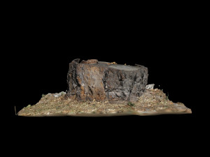 trunk 3D Модель
