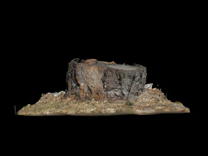 trunk 3D Model