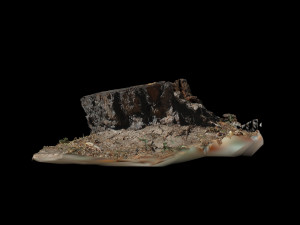 trunk 3D Модель