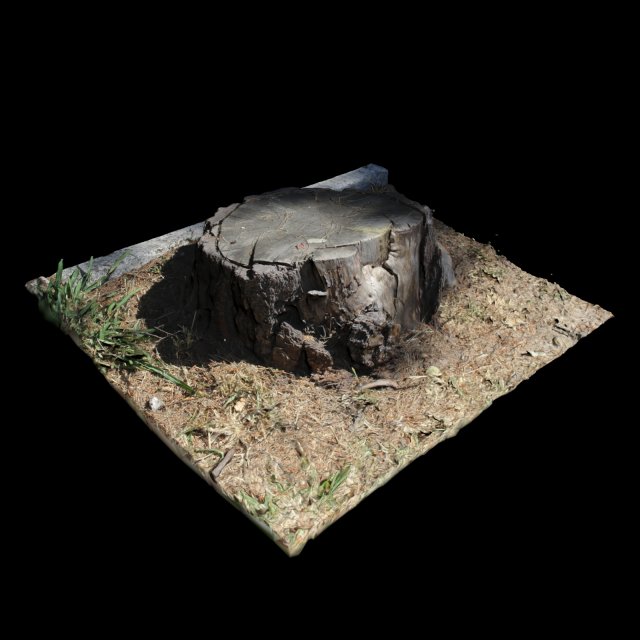 trunk Modello 3D .c4d .max .obj .3ds .fbx .stl .blend 