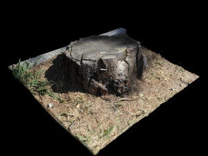 trunk 3D Model