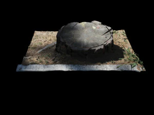 trunk 3D Model