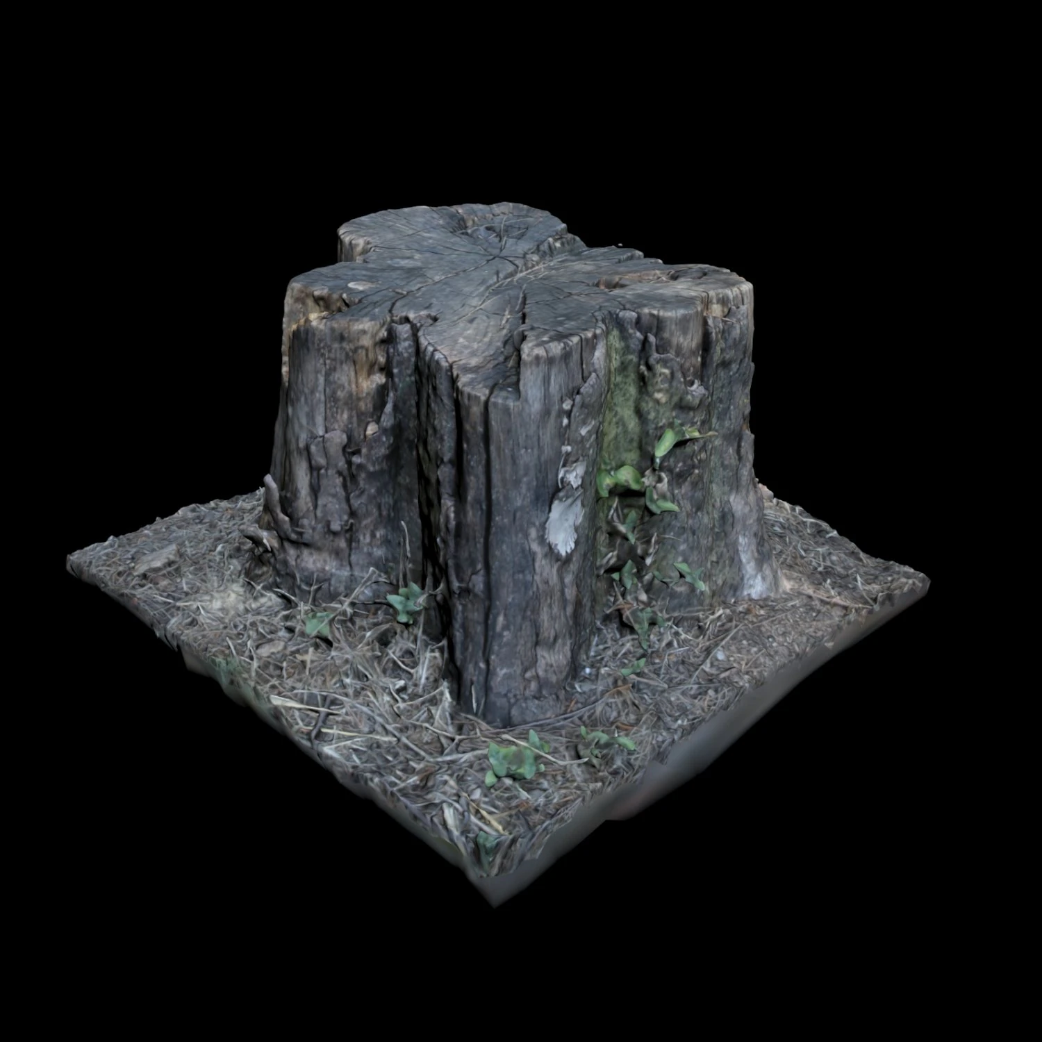 trunk 3D Model .c4d .max .obj .3ds .fbx .stl .blend 