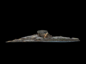 trunk 3D Model