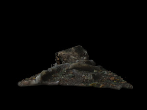 trunk Modèle 3D