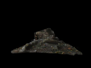 trunk 3D Model