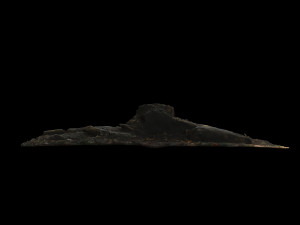 trunk Modèle 3D