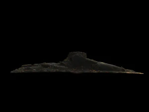 trunk 3D Model