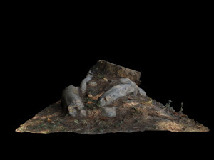 trunk Modèle 3D