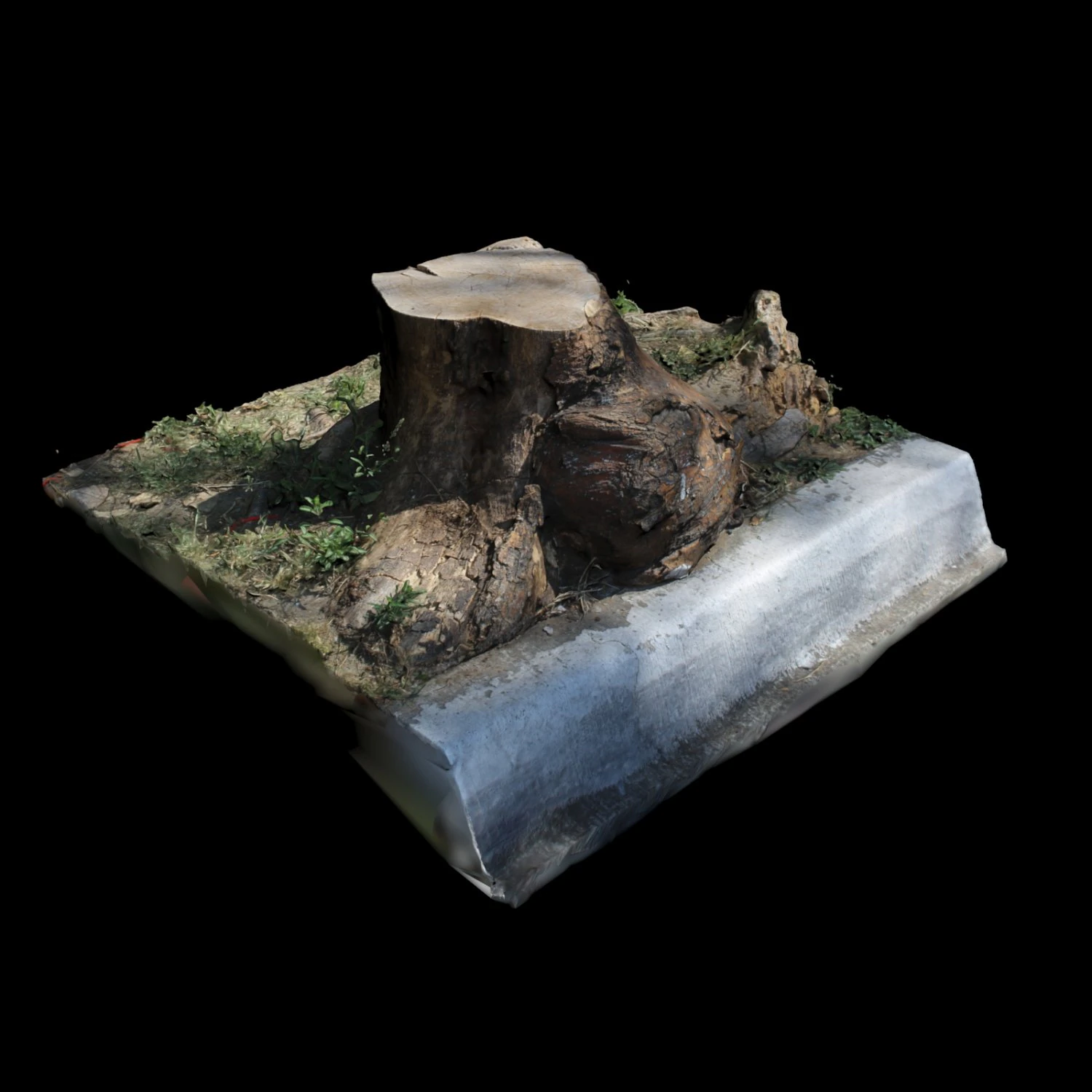 trunk 3D Model .c4d .max .obj .3ds .fbx .stl .blend