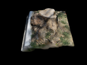 trunk 3D-Modell