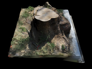 trunk 3D-Modell