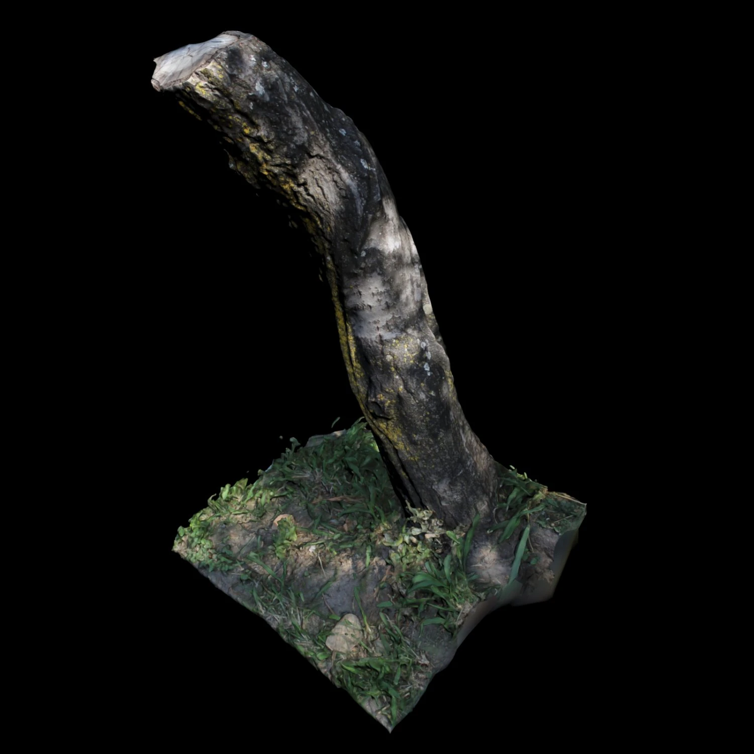 trunk 3D Model .c4d .max .obj .3ds .fbx .stl .blend 
