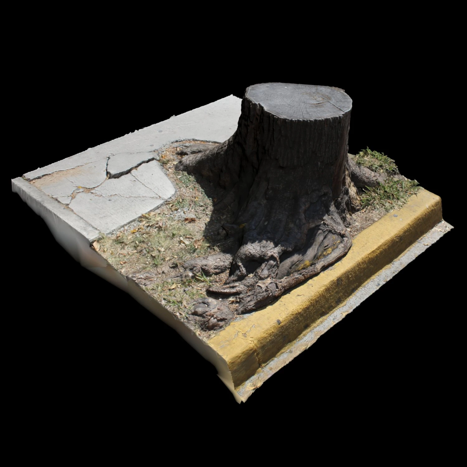 trunk 3D Model .c4d .max .obj .3ds .fbx .stl .blend 