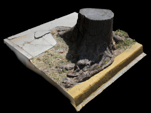 trunk 3Dモデル