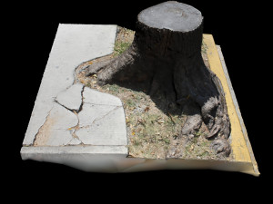 trunk 3D Model