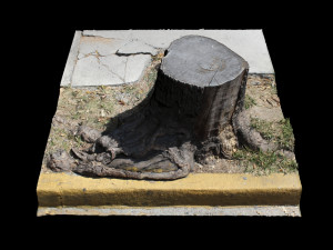 trunk 3D Model