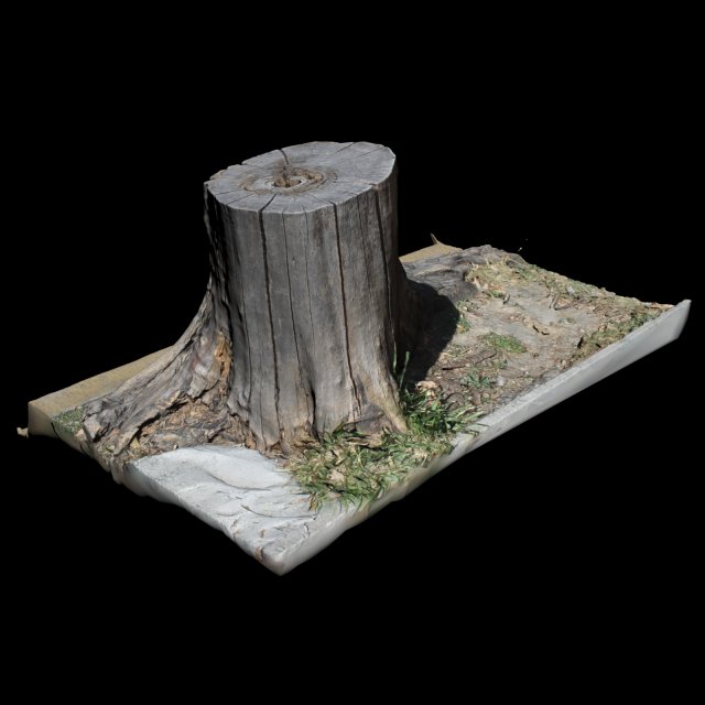 trunk 3D-Modell .c4d .max .obj .3ds .fbx .stl .blend 