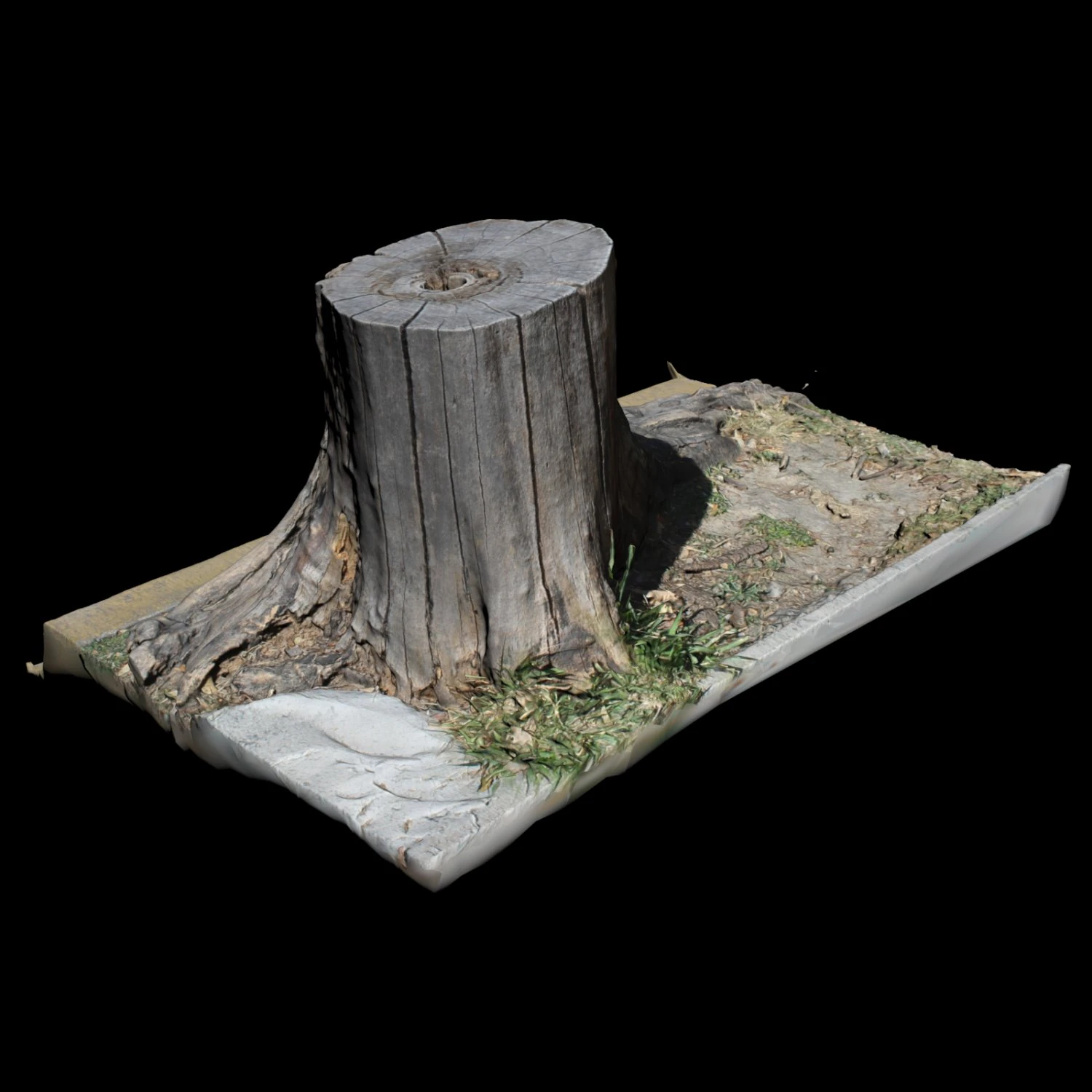 trunk 3D Model .c4d .max .obj .3ds .fbx .stl .blend 