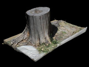 トランク 3Dモデル