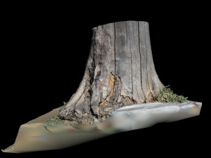 trunk 3D-Modell