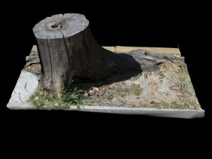trunk 3D-Modell