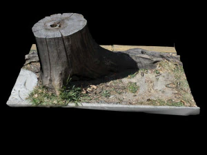 trunk 3D Model