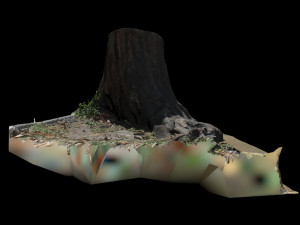 trunk 3D-Modell