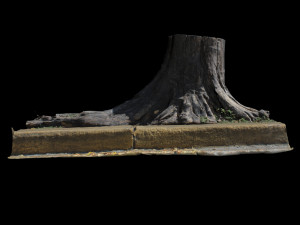 trunk 3D-Modell