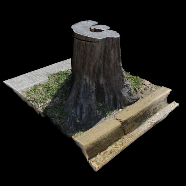 trunk Model 3D .c4d .max .obj .3ds .fbx .stl .blend 