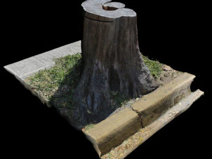 トランク 3Dモデル