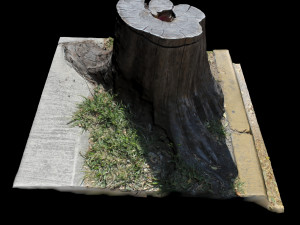 trunk Model 3D