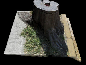 trunk 3D Model