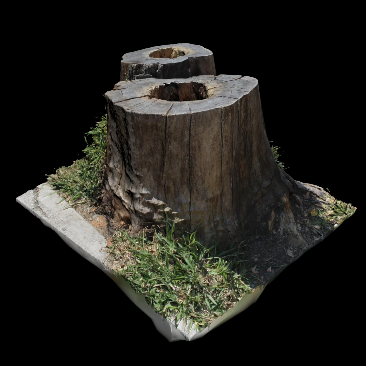 trunk 3D Model .c4d .max .obj .3ds .fbx .stl .blend 