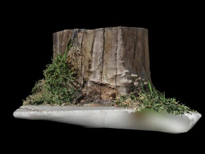 trunk 3D Model