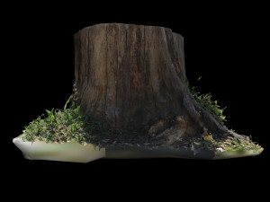 trunk 3D 模型