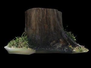 trunk 3D Model