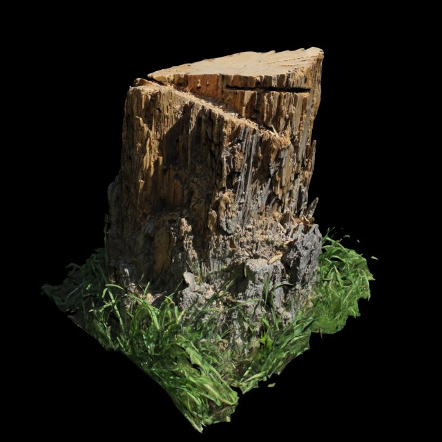 trunk 3D Model .c4d .max .obj .3ds .fbx .stl .blend 